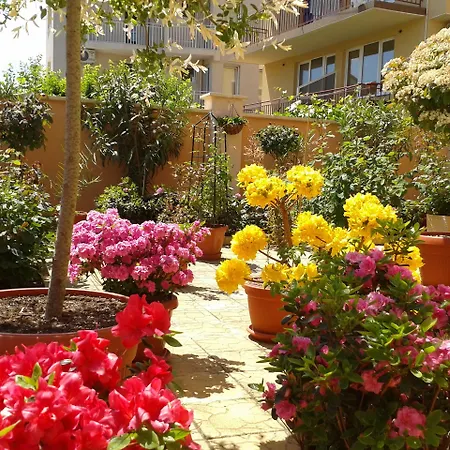 Chuchulev מלון 3*