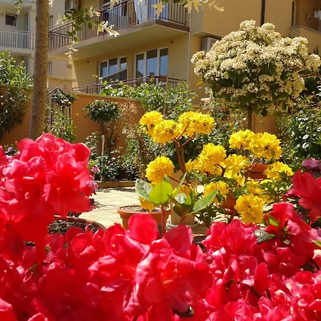 Chuchulev 3* סוזופול