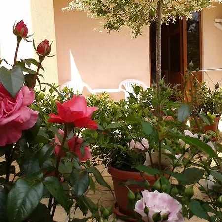 Chuchulev 3* סוזופול