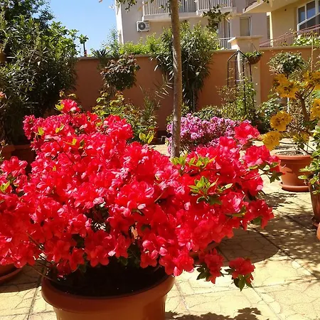 Chuchulev מלון סוזופול