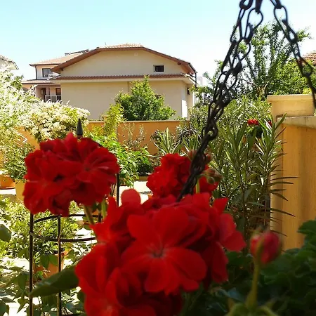 מלון Chuchulev סוזופול