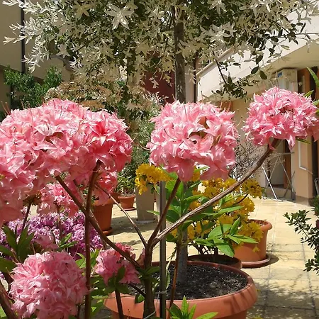 מלון Chuchulev סוזופול