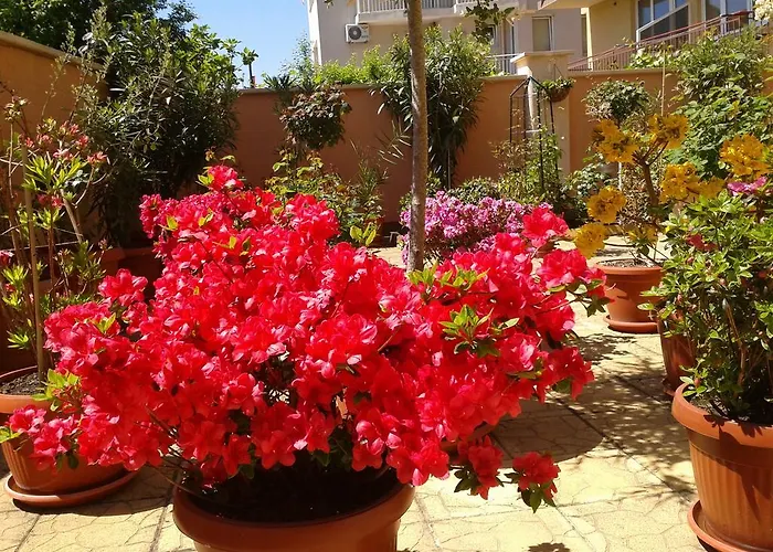 чучулев Хотел Созопол