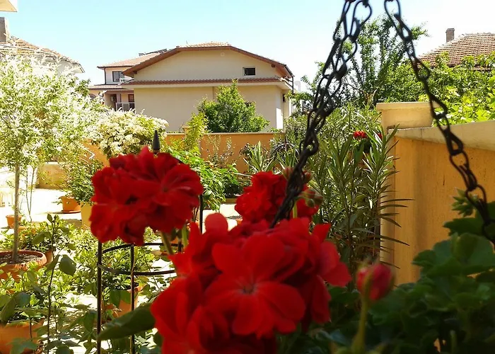 Хотел чучулев Созопол