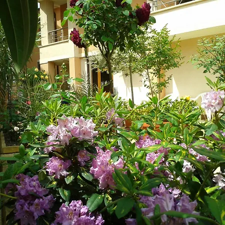 Chuchulev Hotel 3*