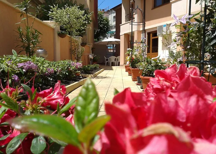 Chuchulev Отель 3*