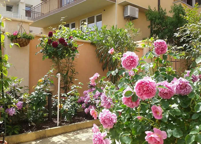 Отель Chuchulev