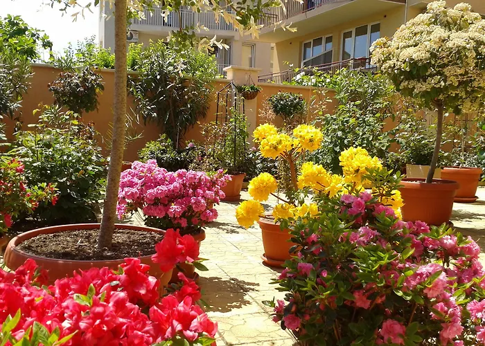 Chuchulev Отель 3*