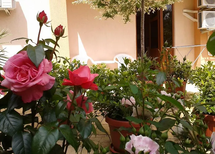 Chuchulev 3* Созополь